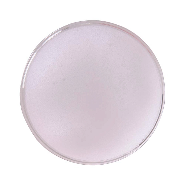 Пенка для умывания с муцином улитки и гинкго билоба