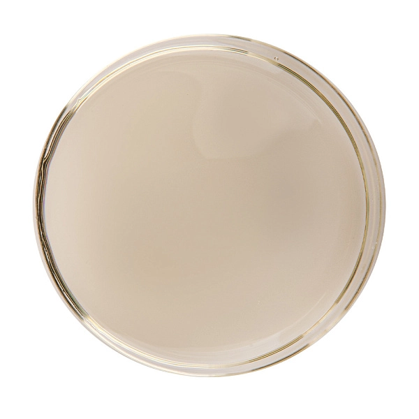 Масло для расслабляющего массажа Exotic Coconut Oil, 500 мл