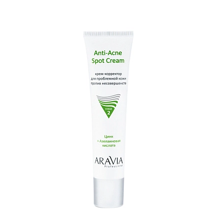 Крем-корректор для проблемной кожи против несовершенств Anti-Acne Spot Cream, 40 мл